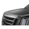 Bug Shield for 2015-2022 GMC Canyon