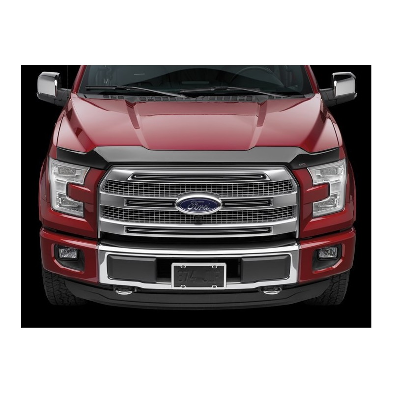 Bug Shield for 2010-2012 Ford Mustang