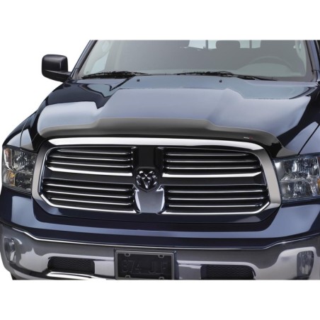 Bug Shield for 2009-2010 Dodge Ram 1500