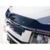 Bug Shield for 2009-2010 Dodge Ram 1500