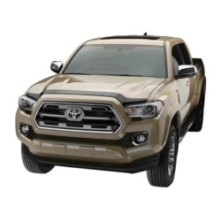 Bug Shield for 2011-2018 Ram 1500