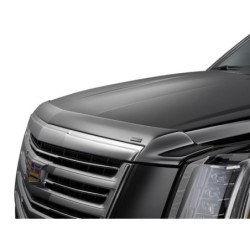 Bug Shield for 2009-2014 Ford F-150