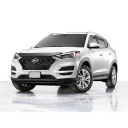 Bug Shield for 2022-2024 Hyundai Santa Cruz