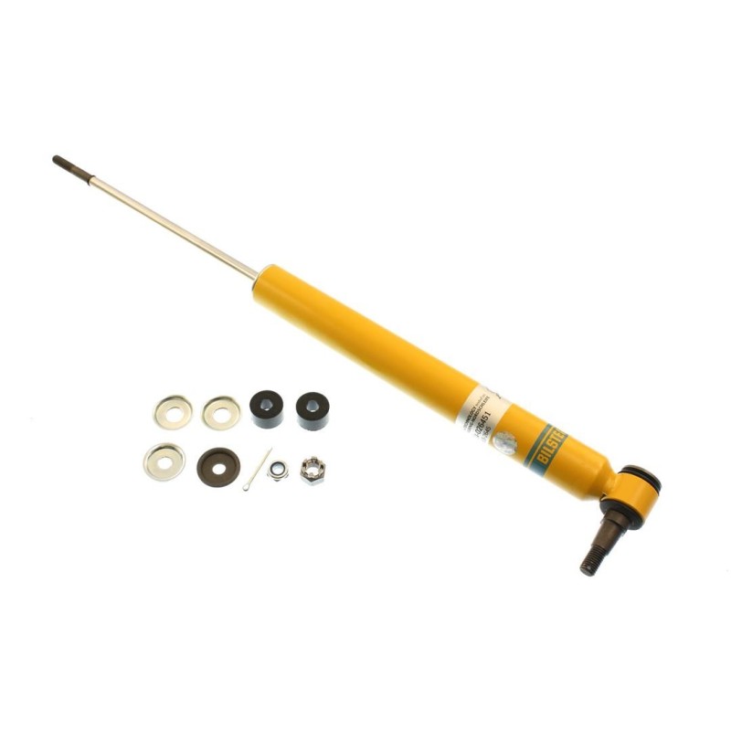 Steering Stabilizer for 2000-2005 Workhorse P30