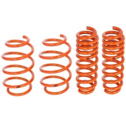 Lowering Kit for 2008-2013 BMW M3 Front and Rear