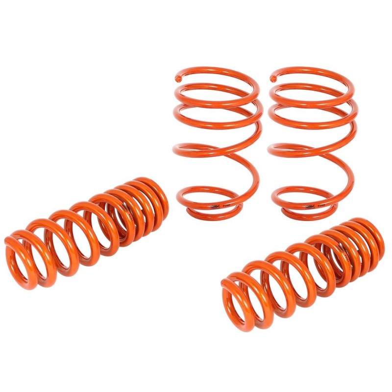 Lowering Kit for 2006-2006 BMW 325i