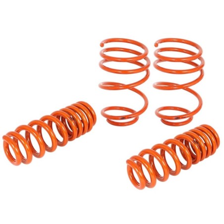 Lowering Kit for 2006-2006 BMW 325xi