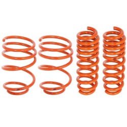 Lowering Kit for 2006-2006 BMW 325xi