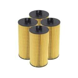 Oil Filter for 2004-2008 Ford E-450 Super Duty