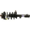 Shock Absorber for 2006-2007 Ford Focus