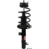 Shock Absorber for 2008-2011 Ford Focus