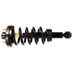 Air Spring to Coil Spring...