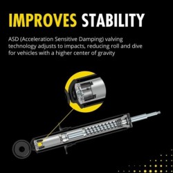 Shock Absorber for 2015-2020 Ford F-150 2WD