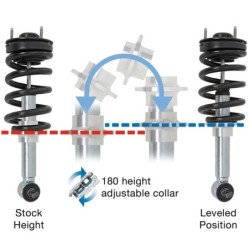 Shock Absorber for 2006-2008 Dodge Ram 1500 2WD/4WD