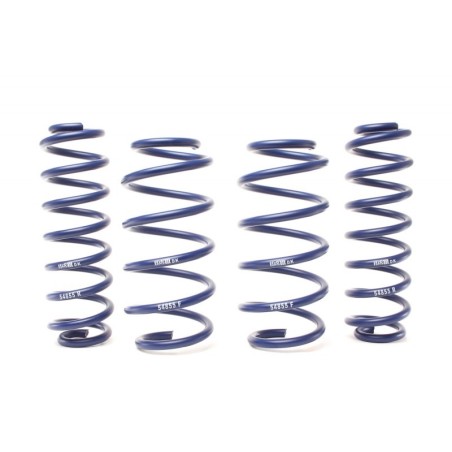 Coil Spring for 2012-2018 Toyota RAV4 0.6-1.1'' Lift Front and Rear, Front, Rear