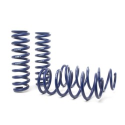 Coil Spring for 2009-2023...