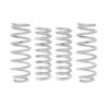 Coil Spring for 2022-2022 Chrysler 300 Front, Rear