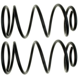 Coil Spring for 2004-2009...