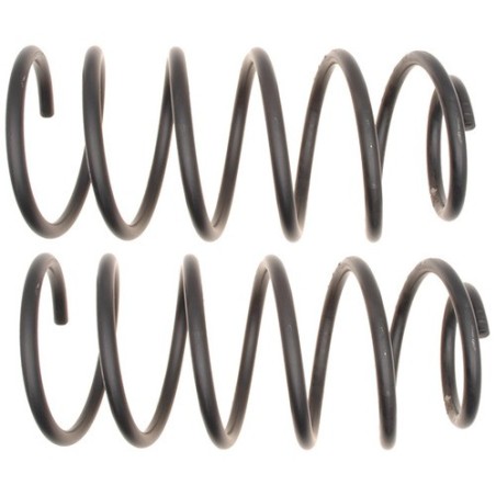 Coil Spring for 2005-2010 Ford Mustang