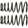 Coil Spring for 2004-2006 Toyota Camry