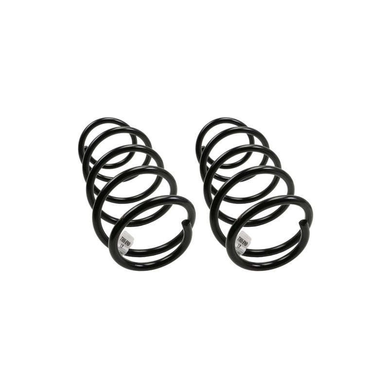 Coil Spring for 2014-2019 Nissan Sentra