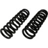 Coil Spring for 2015-2019 Chevrolet Colorado 2WD/4WD