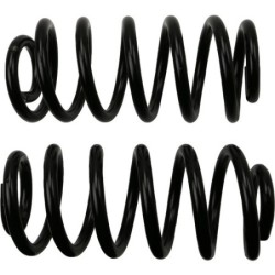 Coil Spring for 2013-2019...