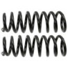 Coil Spring for 2002-2005 Ford Thunderbird