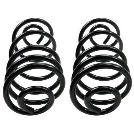 Coil Spring for 1973-1977 Buick Regal