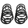 Coil Spring for 1973-1977 Buick Regal