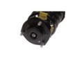 Shock Absorber for 2007-2009 Toyota Camry