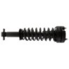 Shock Absorber for 2015-2020 Ford F-150 2WD