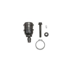 Ball Joint for 1998-1998 Ford Ranger 2WD