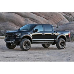 Lift Kit Suspension for 2017-2020 Ford F-150 4-4'' Lift Front and Rear