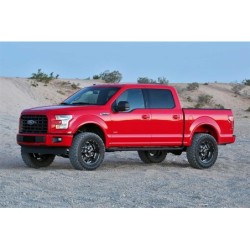 Lift Kit Suspension for 2015-2023 Ford F-150 2WD 4-4'' Lift Front and Rear